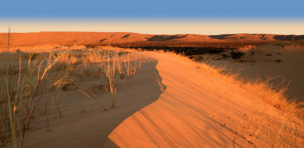Witsand Nature Reserve